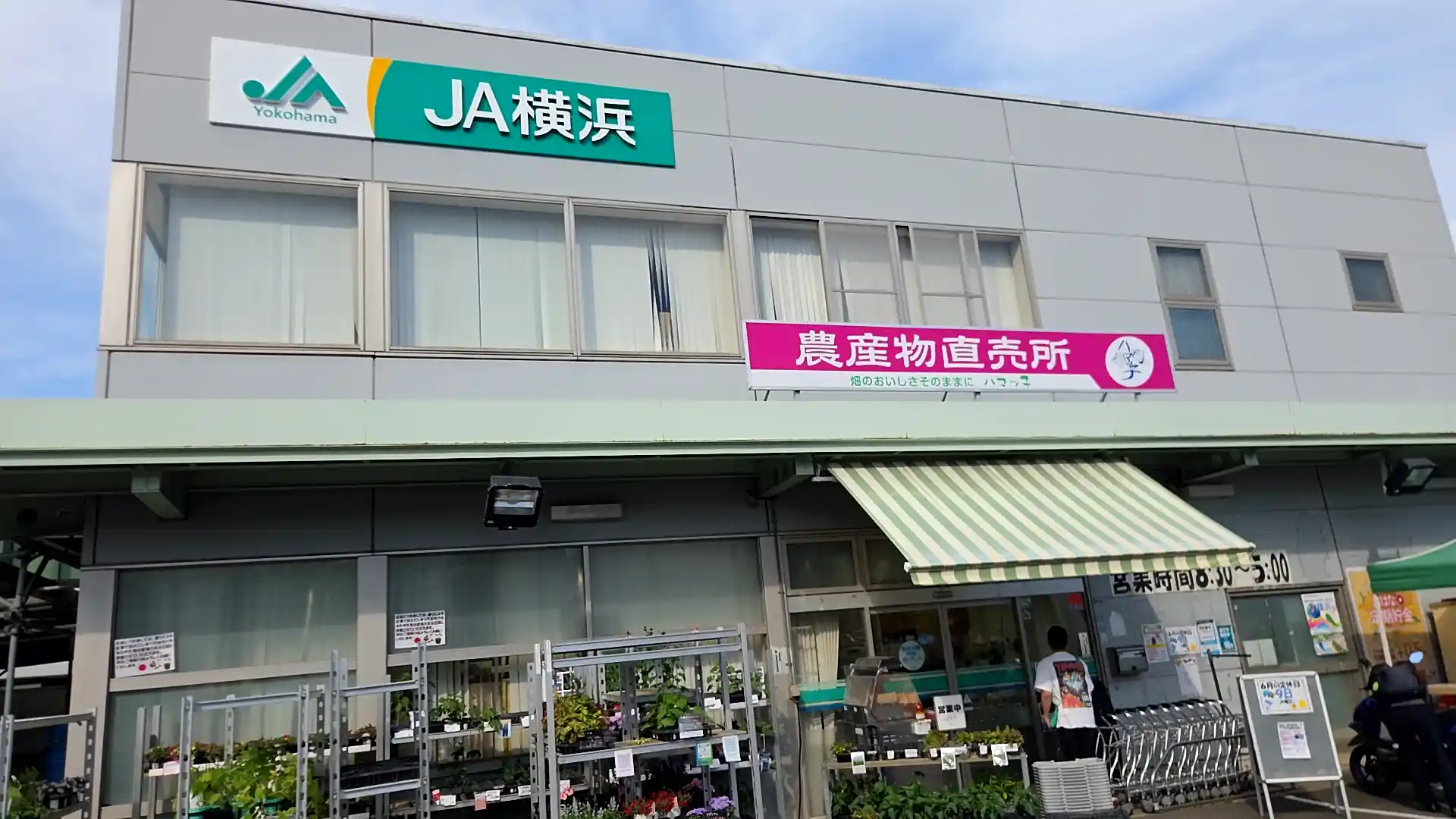 横浜の農産物直売所・JA横浜「ハマッ子」の外観。「JA横浜」「農産物直売所 畑のおいしさそのままに ハマッ子」の看板と、店先に並ぶ花や野菜の苗
