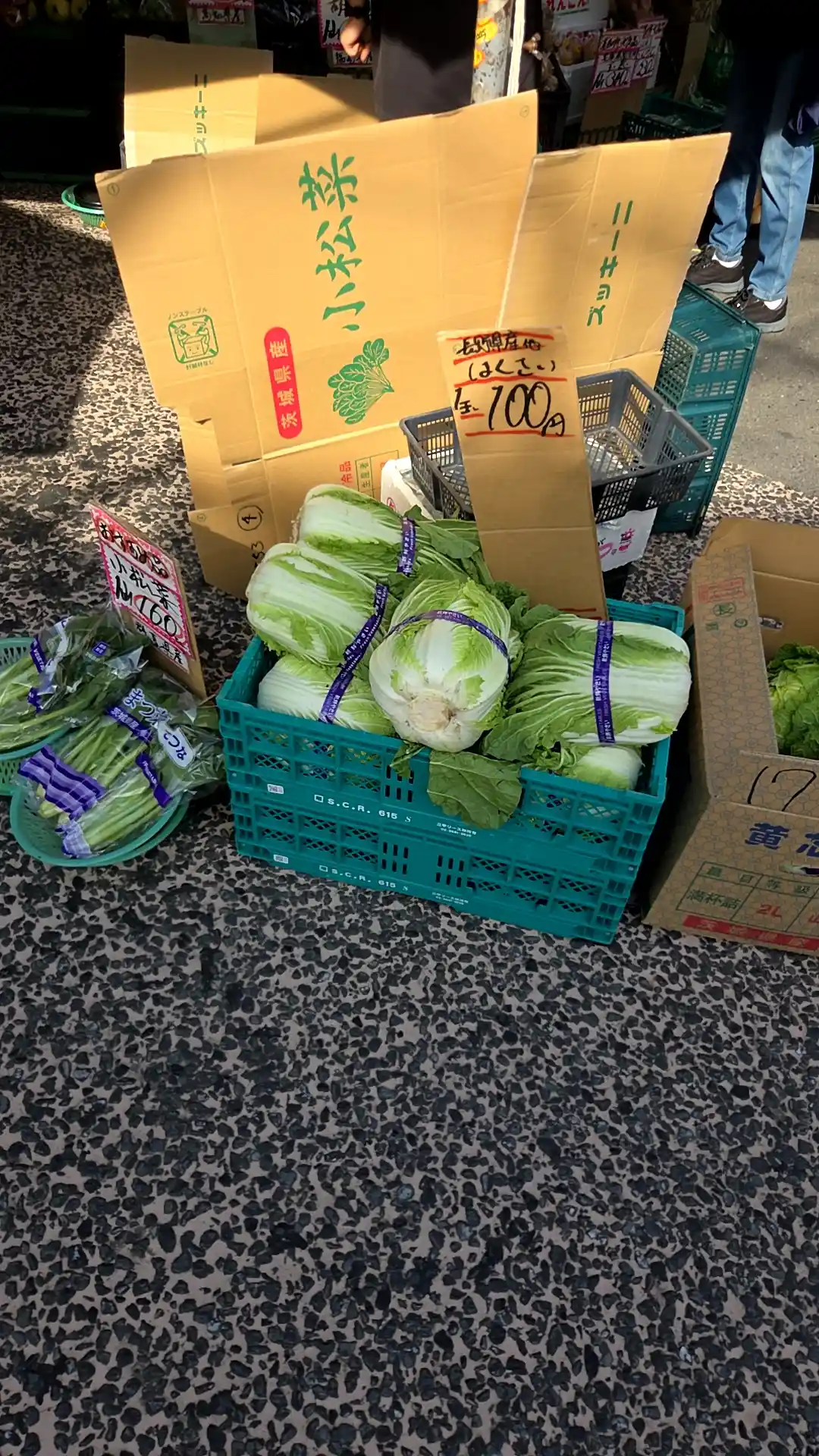 松原商店街の八百屋。白菜1玉100円、小松菜などの葉物野菜が段ボールやカゴに山積みで安く売られている