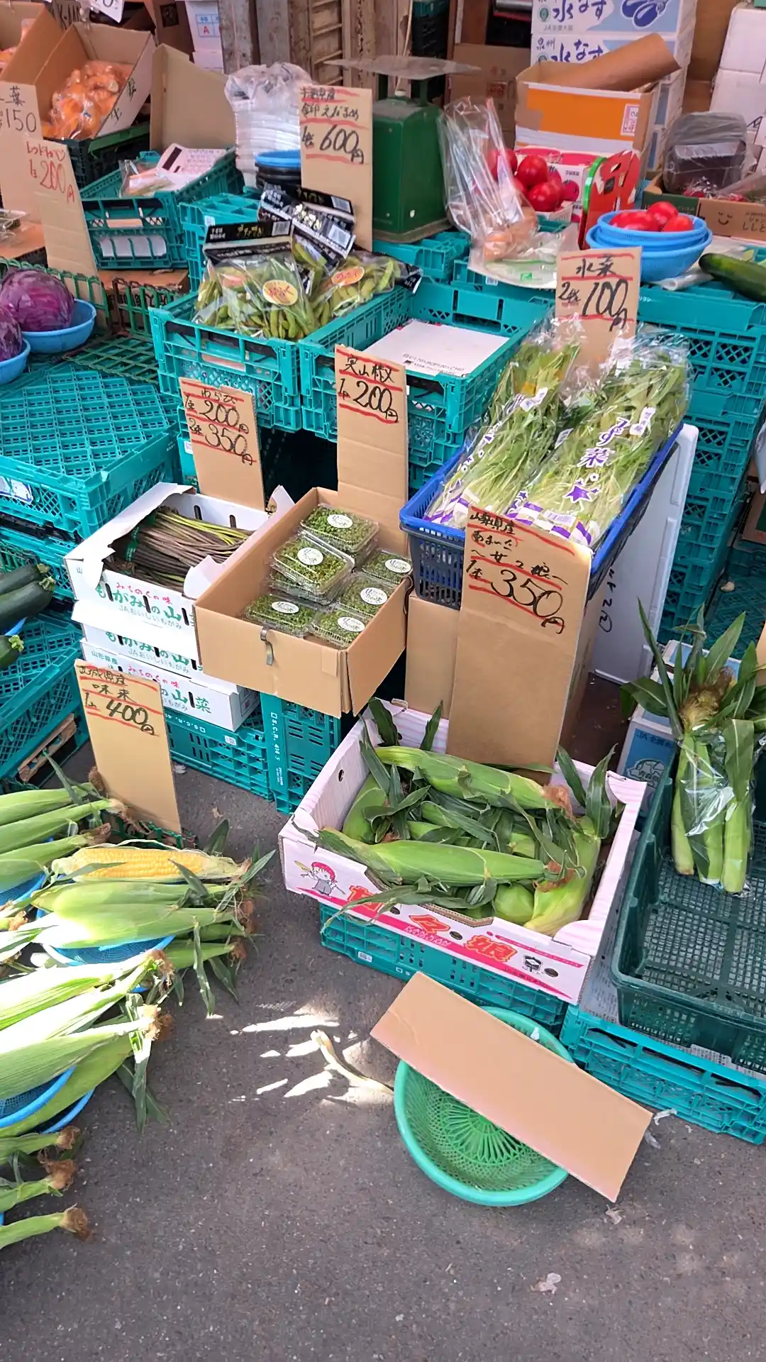 松原商店街の八百屋の店頭。水菜2束100円、わらび1束200円、とうもろこし（味来）4本400円など、手書き値札の野菜が箱で安く並ぶ