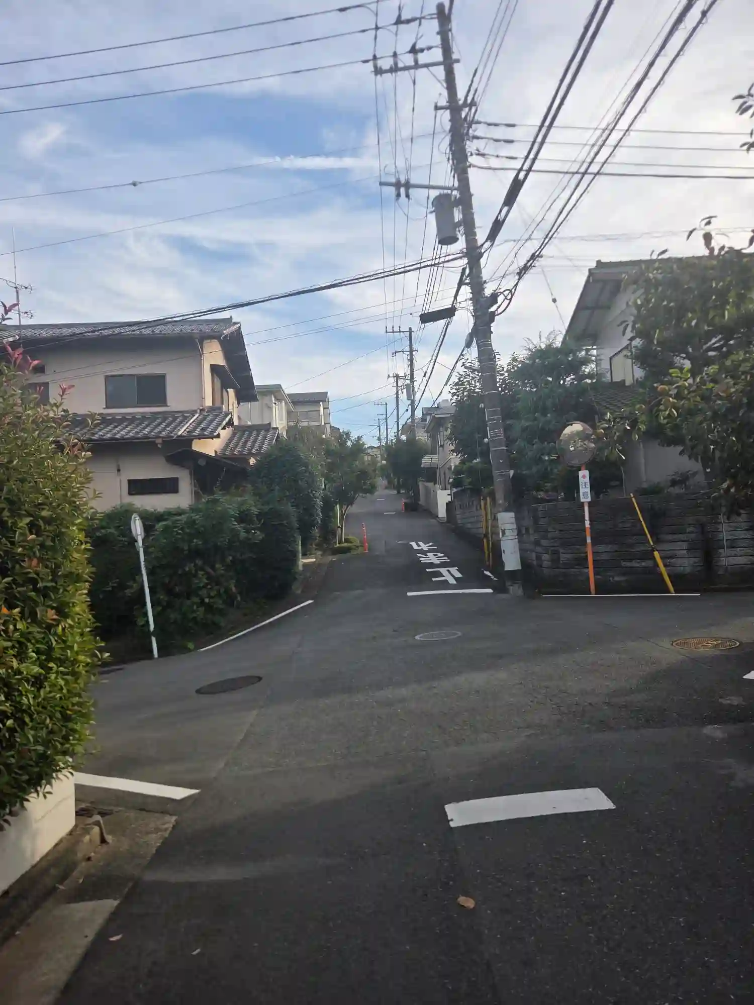 菊名駅周辺の閑静な住宅街。戸建てが並び、車通りの少ない道