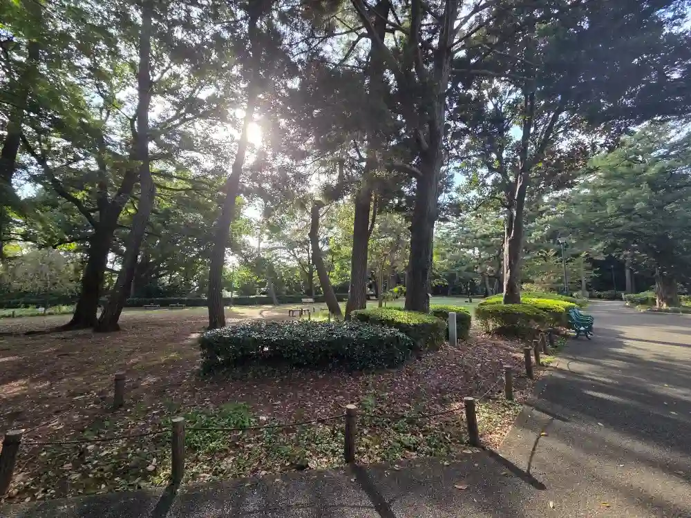 大倉山公園の木立と園路。木陰にベンチが置かれた広場