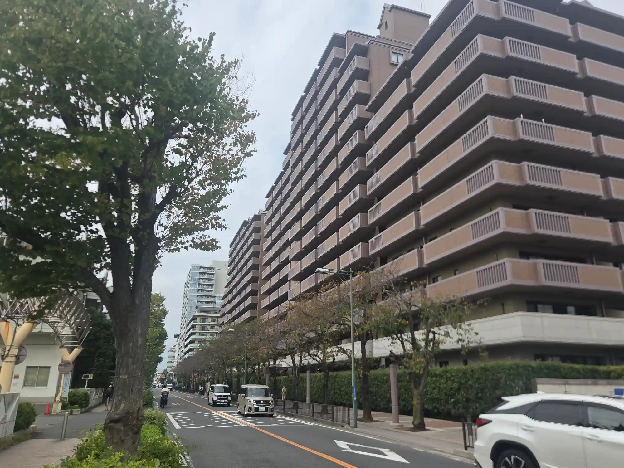 天王町駅周辺の並木がある大通り沿いに建つ大規模マンション。歩道沿いに植え込みが続き、通りの奥にも高層マンションが見える