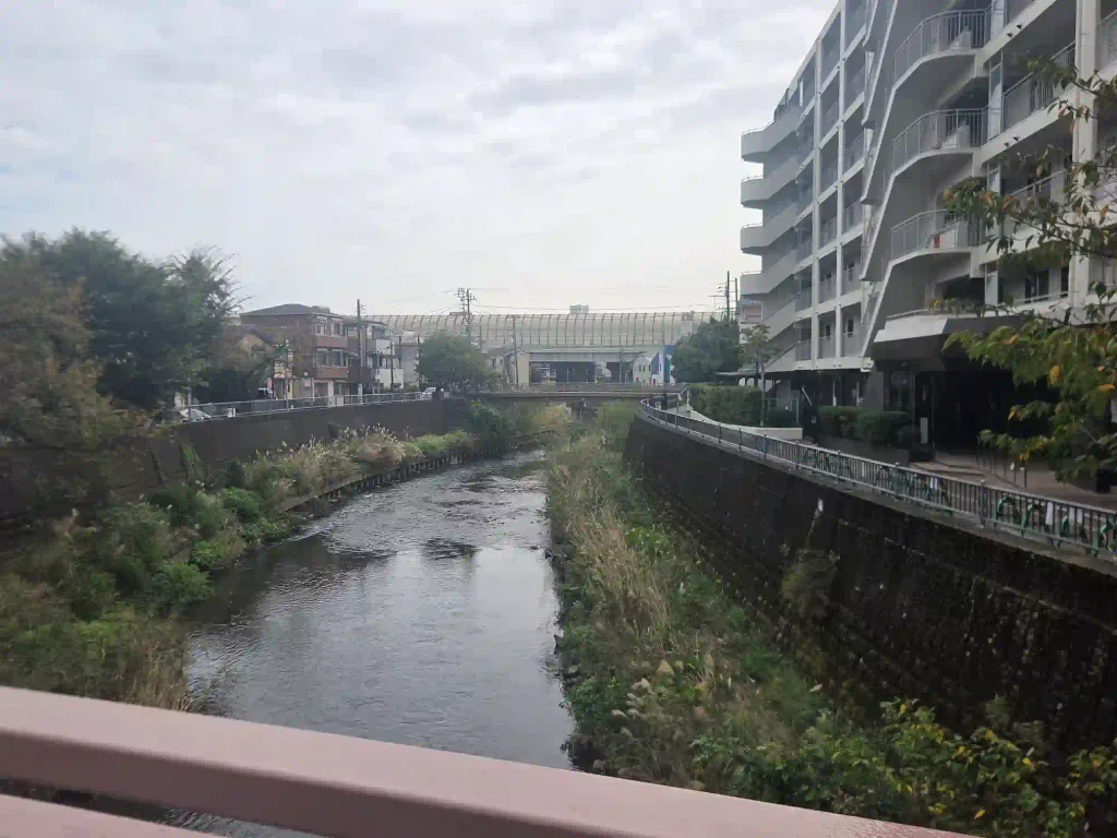 和田町駅の近くを流れる川。川沿いにマンションと歩道があり、駅から部屋までのルート確認で見ておきたい場所